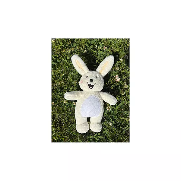 Boy Bunnie