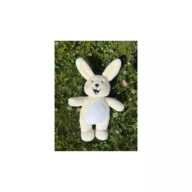 Boy Bunnie
