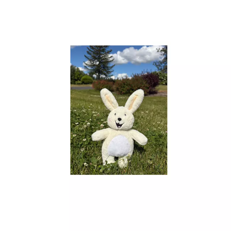 Boy Bunnie